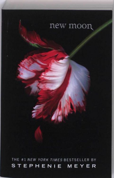 Produktbild: Meyer, S: New Moon