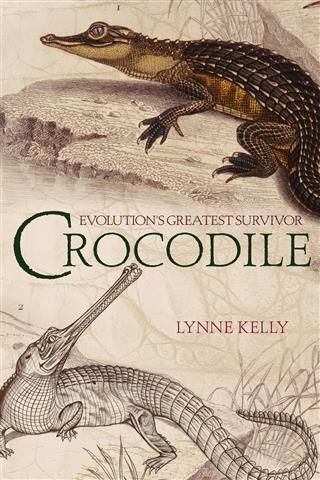 Produktbild: Crocodile