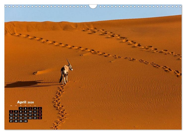 Produktbild: Blickpunkte in Namibia (Wandkalender 2026 DIN A3 quer), CALVENDO Monatskalender