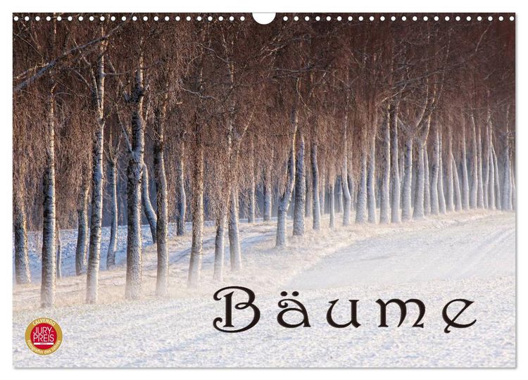 Produktbild: B&auml;ume (Wandkalender 2026 DIN A3 quer), CALVENDO Monatskalender