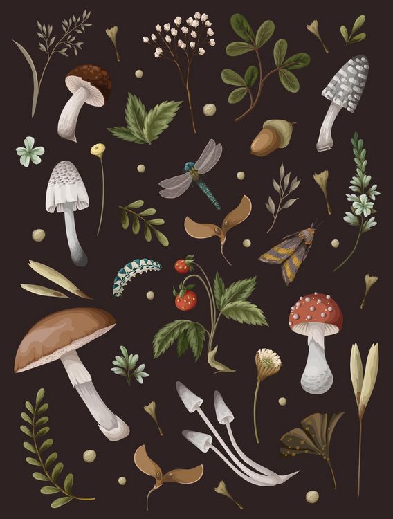 Produktbild: Mushroom Lined Journal