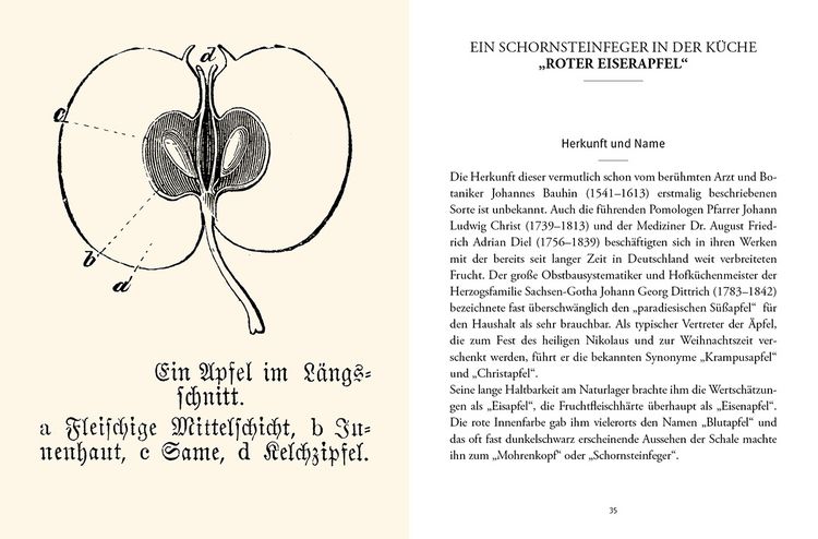 Produktbild: Das gro&szlig;e kleine Buch: Alte Obstsorten in der K&uuml;che