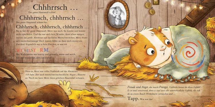 Produktbild: Maxi Pixi 491: Metti Meerschwein und das gro&szlig;e Abenteuer