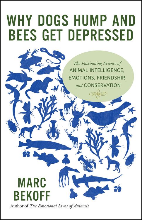 Produktbild: Why Dogs Hump and Bees Get Depressed