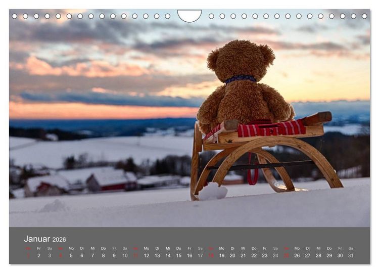 Produktbild: Travelling Teddy 2026 (Wandkalender 2026 DIN A4 quer), CALVENDO Monatskalender