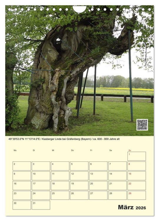 Produktbild: Uralt - Mit QR-Code und GPS zu alten B&auml;umen (Wandkalender 2026 DIN A4 hoch), CALVENDO Monatskalender