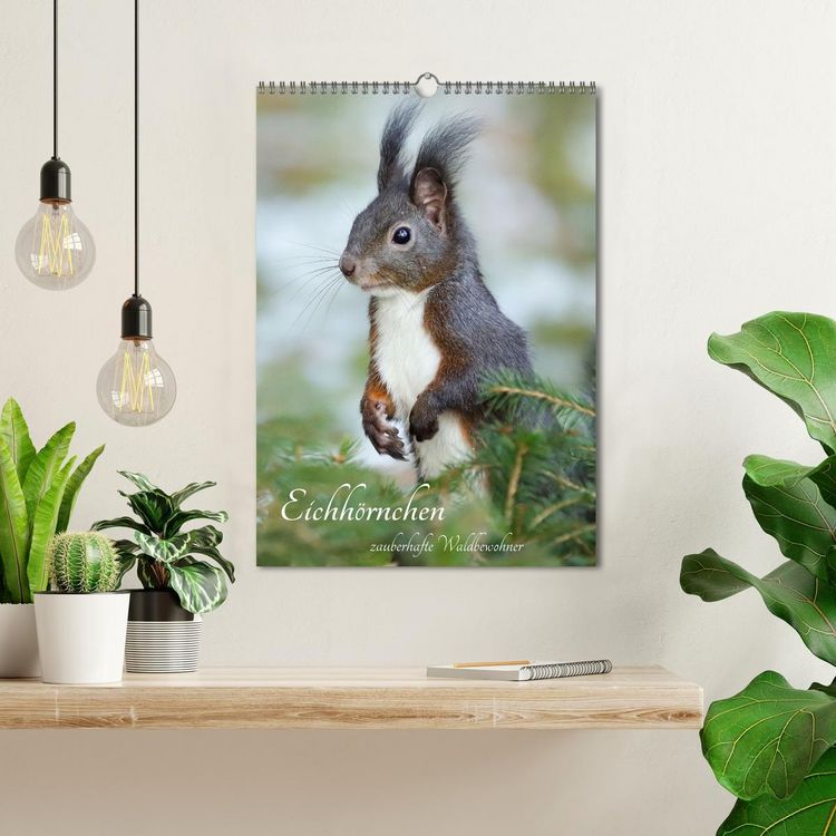 Produktbild: Eichh&ouml;rnchen - zauberhafte Waldbewohner (Wandkalender 2026 DIN A3 hoch), CALVENDO Monatskalender