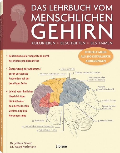 Produktbild: DAS LEHRBUCH VOM MENSCHLICHEN GEHIRN