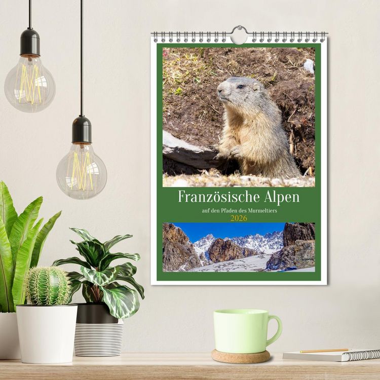 Produktbild: Franz&ouml;sische Alpen, auf den Pfaden des Murmeltiers (Wandkalender 2026 DIN A4 hoch), CALVENDO Monatskalender