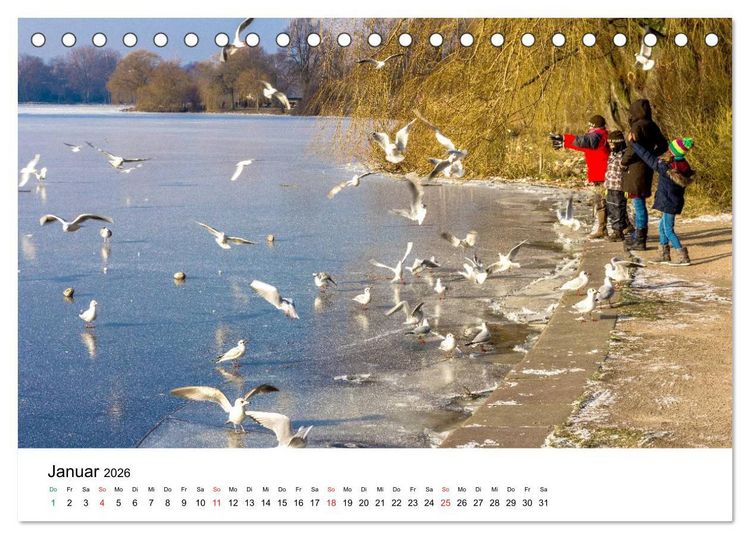Produktbild: Gr&uuml;nes Hamburg (Tischkalender 2026 DIN A5 quer), CALVENDO Monatskalender