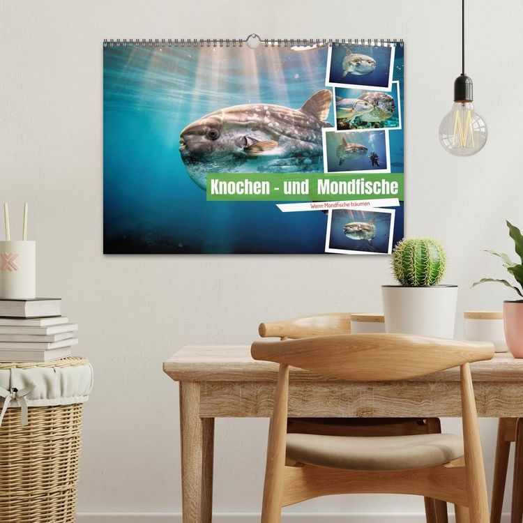 Produktbild: Knochen - und Mondfische (Wandkalender 2027 DIN A3 quer), CALVENDO Monatskalender