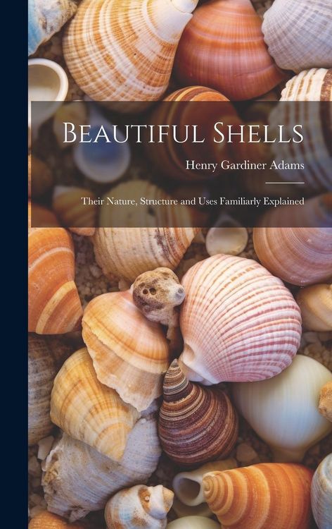 Produktbild: Beautiful Shells: Their Nature, Structure and Uses Familiarly Explained