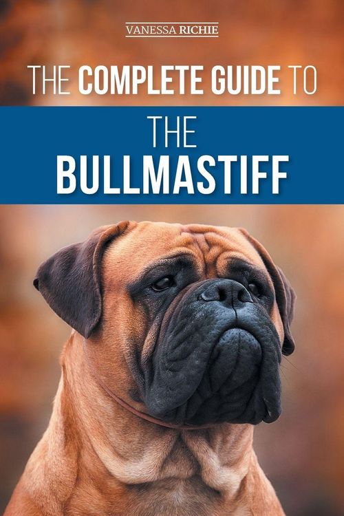 Produktbild: The Complete Guide to the Bullmastiff