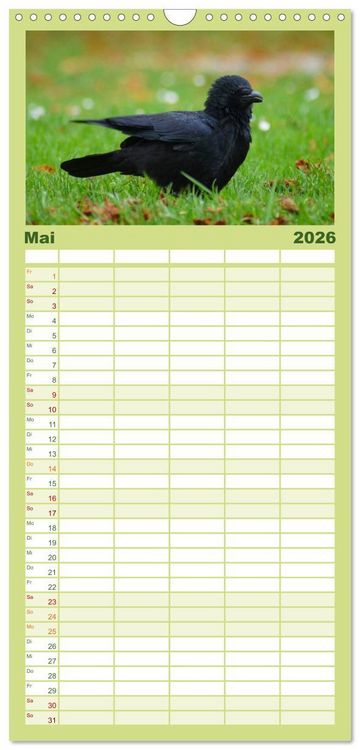 Produktbild: Familienplaner 2026 - Das Leben der Rabenv&ouml;gel mit 5 Spalten (Wandkalender, 21 x 45 cm) CALVENDO