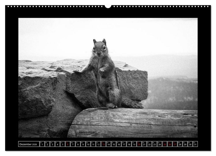 Produktbild: Side-Clicks Amerika in schwarz-wei&szlig; (hochwertiger Premium Wandkalender 2026 DIN A2 quer), Kunstdruck in Hochglanz