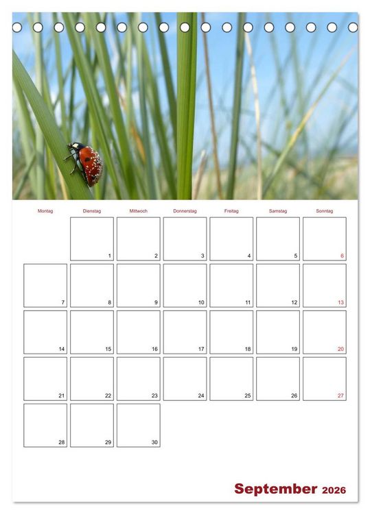 Produktbild: Marienk&auml;fergl&uuml;ck (Tischkalender 2026 DIN A5 hoch), CALVENDO Monatskalender