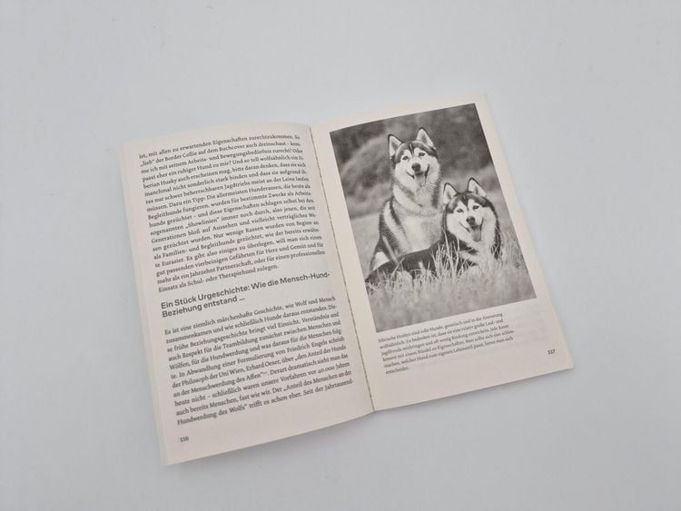 Produktbild: Warum Hunde uns zu besseren Menschen machen