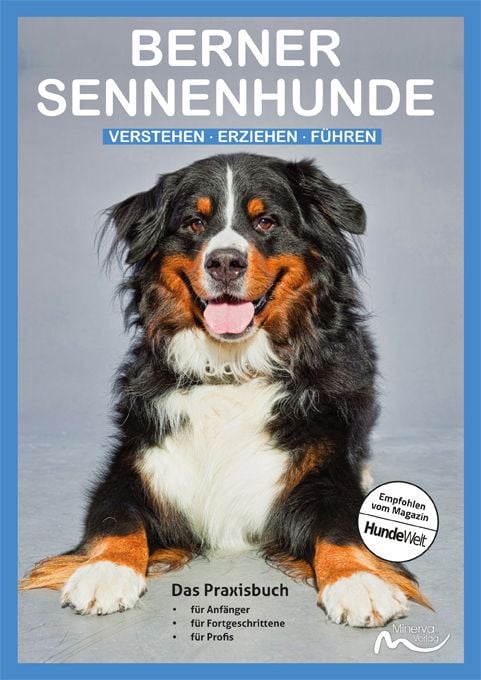 Produktbild: Berner Sennenhunde