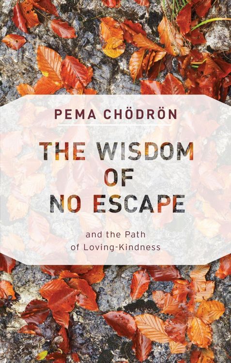 Produktbild: The Wisdom of No Escape