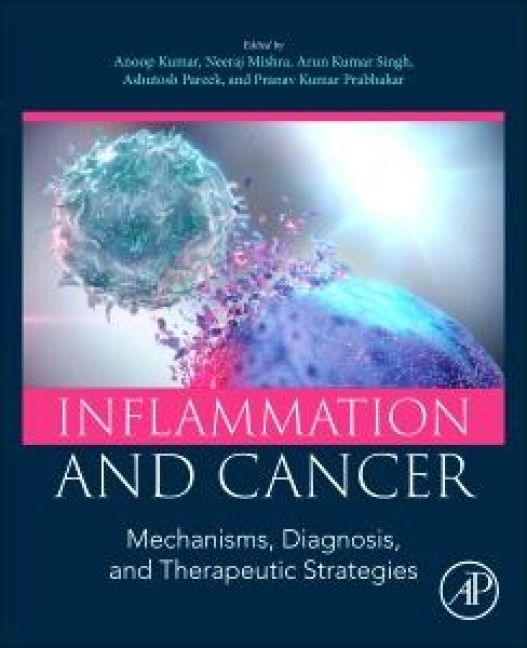 Produktbild: Inflammation and Cancer