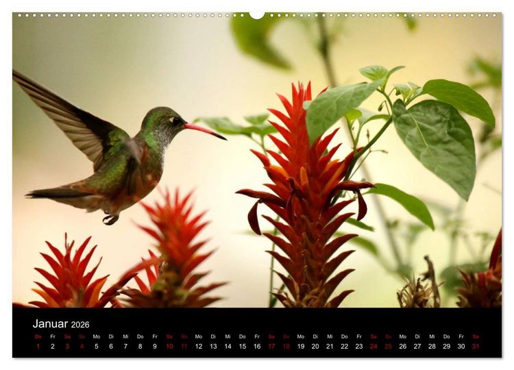 Produktbild: Ama la Vida Ecuador (Wandkalender 2026 DIN A2 quer), CALVENDO Monatskalender