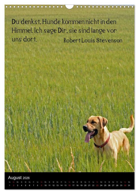 Produktbild: Der Broholmer (Wandkalender 2026 DIN A3 hoch), CALVENDO Monatskalender