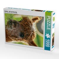 Produktbild: CALVENDO Puzzle Alpakas - s&uuml;&szlig; und flauschig | 1000 Teile Lege-Gr&ouml;&szlig;e 64x48cm Foto-Puzzle f&uuml;r gl&uuml;ckliche Stunden