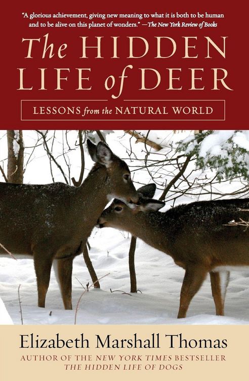Produktbild: Hidden Life of Deer, The
