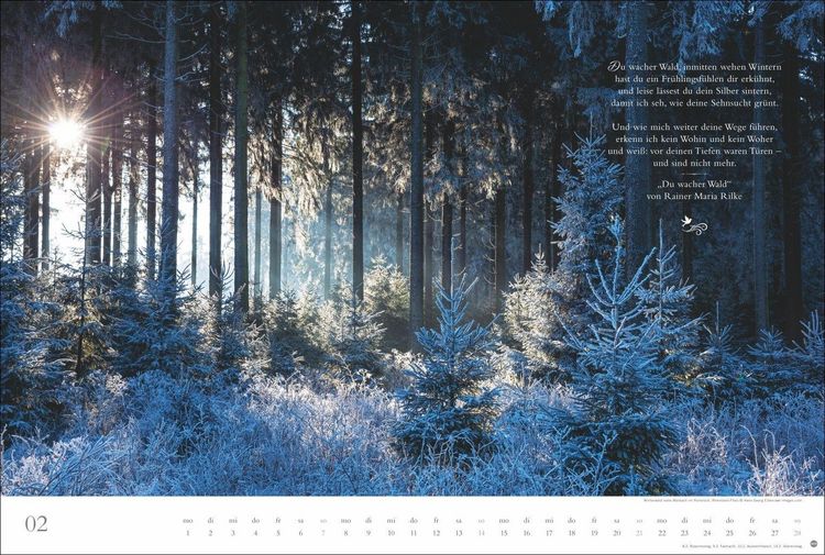 Produktbild: Der deutsche Wald - Ein literarischer Spaziergang Kalender 2027 - Ein literarischer Spaziergang