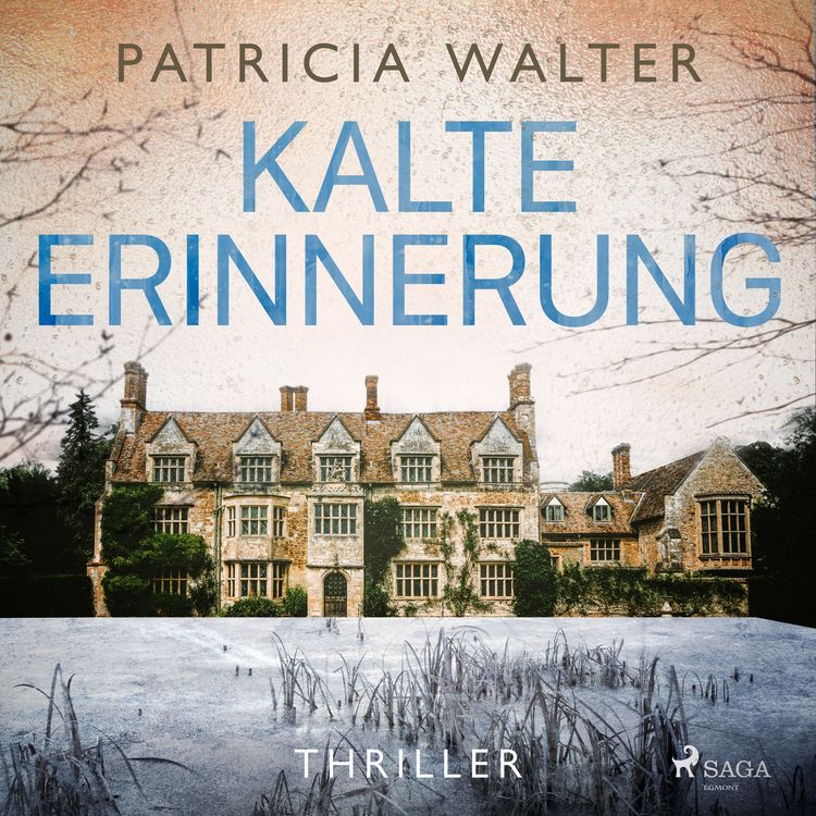 Produktbild: Kalte Erinnerung