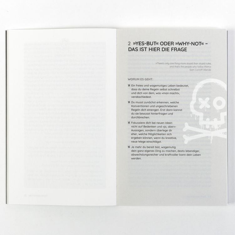 Produktbild: Die Piratenstrategie