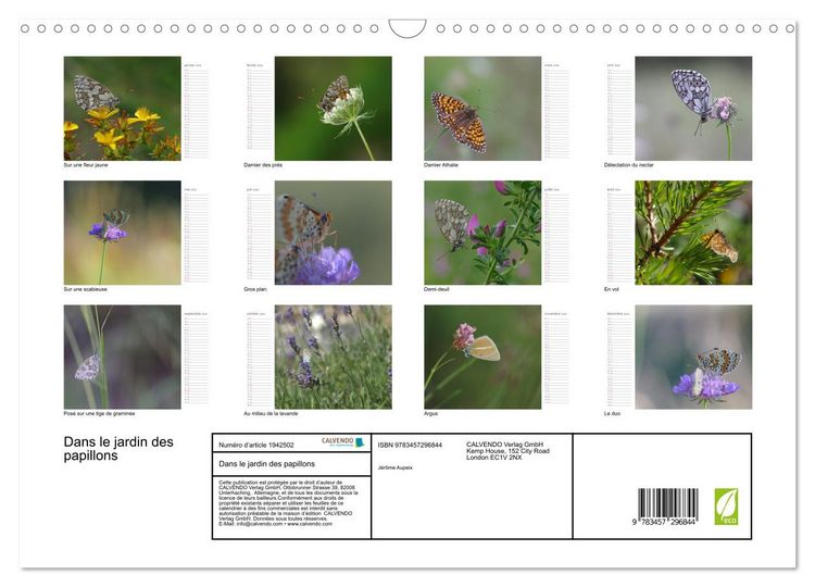 Produktbild: Dans le jardin des papillons (Calendrier mural 2026 DIN A3 vertical), CALVENDO calendrier mensuel