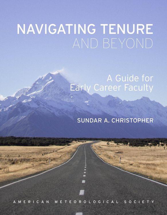 Produktbild: Navigating Tenure and Beyond