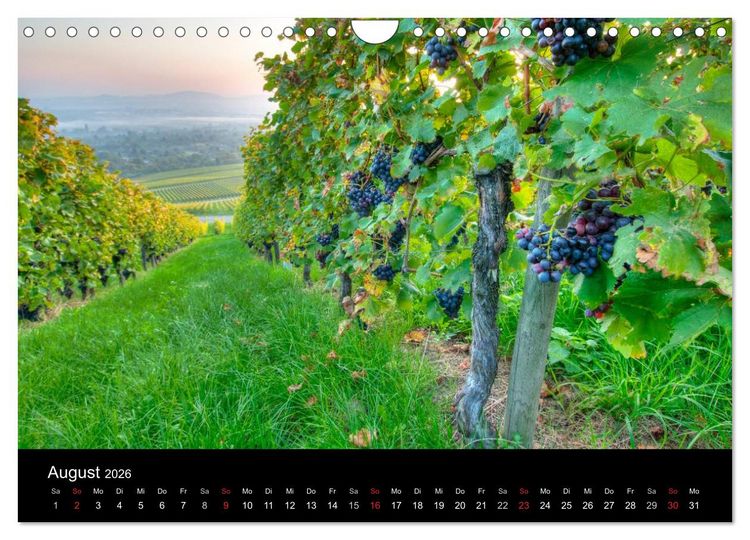 Produktbild: Weinberge im Remstal (Wandkalender 2026 DIN A4 quer), CALVENDO Monatskalender