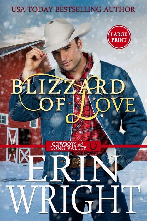 Produktbild: Blizzard of Love