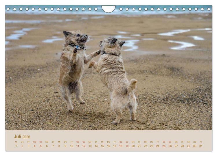 Produktbild: Cairns Forever (Wandkalender 2026 DIN A4 quer), CALVENDO Monatskalender