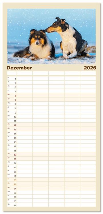 Produktbild: Familienplaner 2026 - Britische H&uuml;tehunde - Treue Freunde auf vier Pfoten mit 5 Spalten (Wandkalender, 21 x 45 cm) CALVENDO
