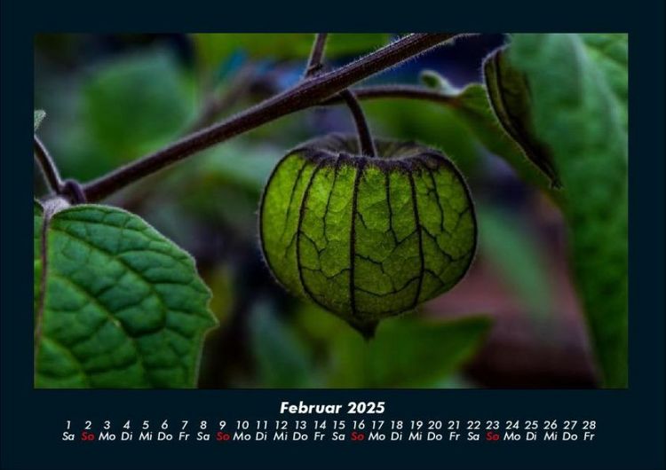 Produktbild: Unser Heimatplanet 2025 Fotokalender DIN A4