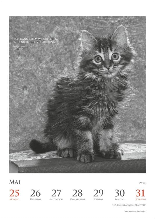 Produktbild: Der poetische Katzenkalender 2027
