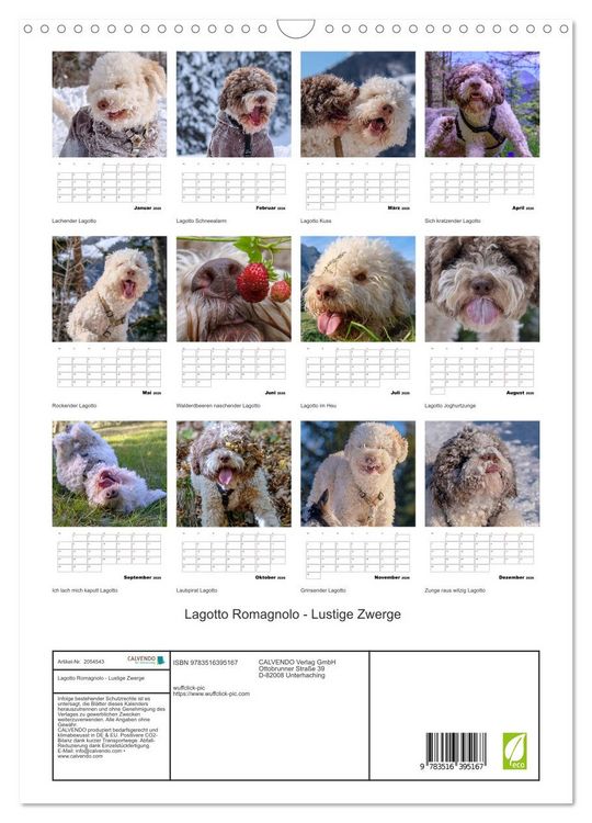 Produktbild: Lagotto Romagnolo - Lustige Zwerge (Wandkalender 2026 DIN A3 hoch), CALVENDO Monatskalender