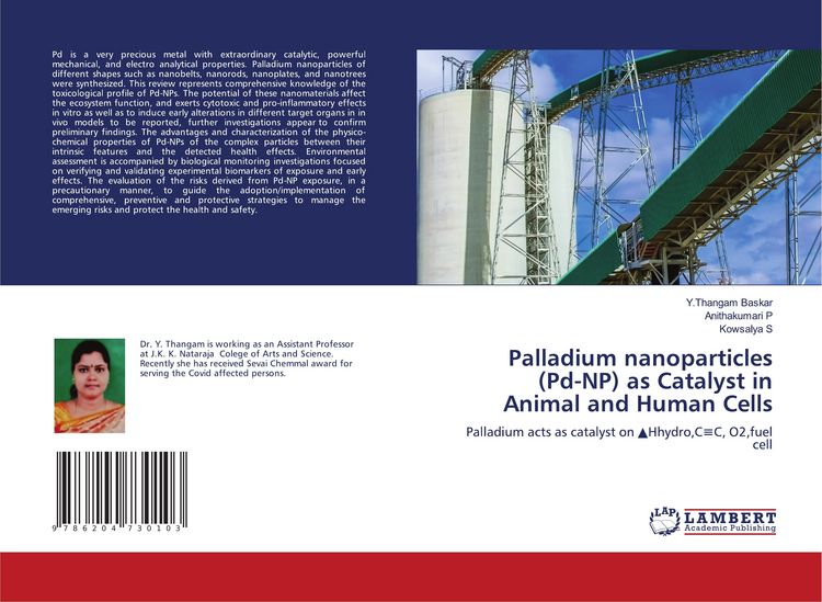 Produktbild: Palladium nanoparticles (Pd-NP) as Catalyst in Animal and Human Cells