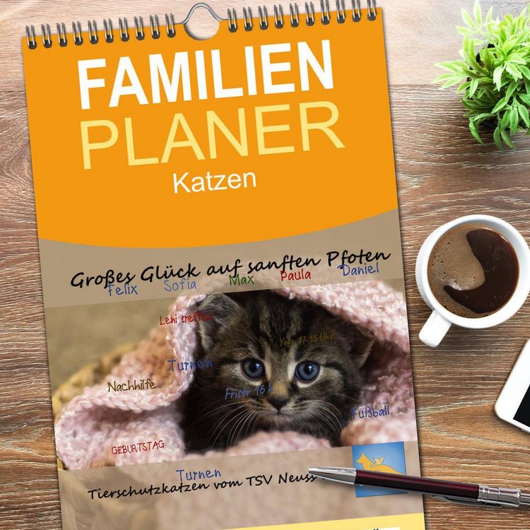 Produktbild: Familienplaner 2026 - Tierschutzkatzen vom TSV-Neuss - Gro&szlig;es Gl&uuml;ck auf sanften Pfoten mit 5 Spalten (Wandkalender, 21 x 45 cm) CALVENDO