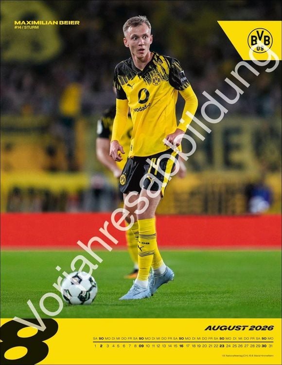 Produktbild: BVB Posterkalender 2027