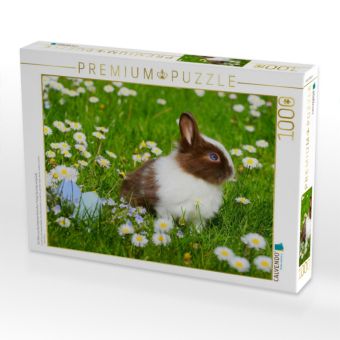 Produktbild: CALVENDO Puzzle Ein Motiv aus dem Kalender Kaninchen. Putzig, flauschig und geliebt | 1000 Teile Lege-Gr&ouml;&szlig;e 64x48cm Foto-Puzzle f&uuml;r gl&uuml;ckliche Stunden