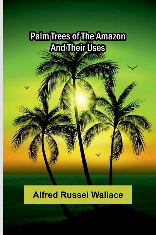 Produktbild: Palm trees of the Amazon and their uses