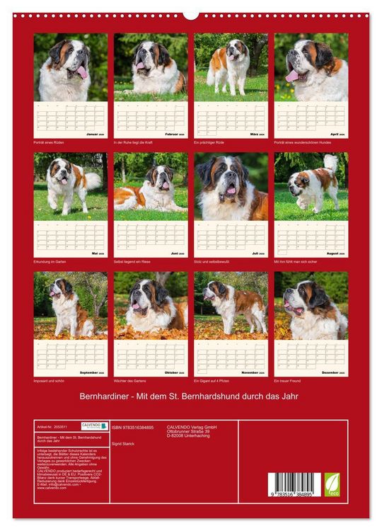 Produktbild: Bernhardiner - Mit dem St. Bernhardshund durch das Jahr (hochwertiger Premium Wandkalender 2026 DIN A2 hoch), Kunstdruck in Hochglanz