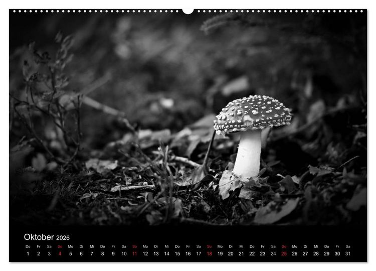 Produktbild: Hexen (hochwertiger Premium Wandkalender 2026 DIN A2 quer), Kunstdruck in Hochglanz