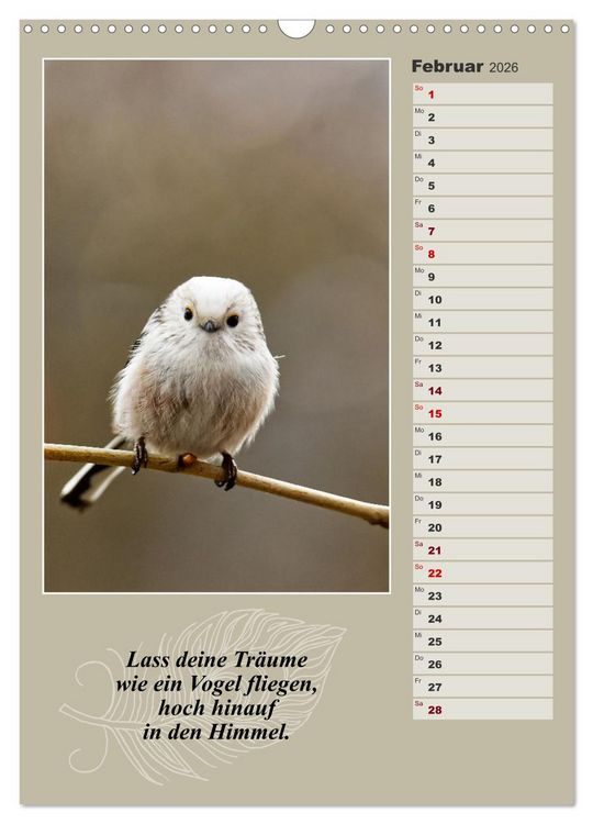 Produktbild: Schwanzmeisen, die niedlichen kleinen Pfannenstielchen (Wandkalender 2026 DIN A3 hoch), CALVENDO Monatskalender