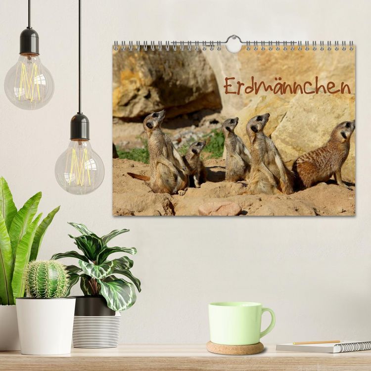 Produktbild: Erdm&auml;nnchen (Wandkalender 2026 DIN A4 quer), CALVENDO Monatskalender