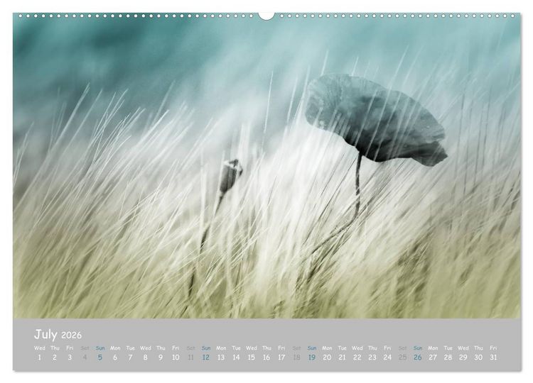 Produktbild: Poppy Love (High Quality Premium Wall Calendar 2026 DIN A2 landscape),CALVENDO 12 Month Wall Calendar
